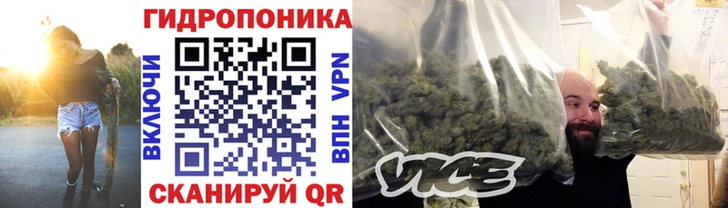 гидра маркетплейс  Волгодонск  Шишки марихуана VHQ 